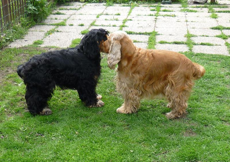 Karel-Argo 8.5.2010 b.JPG